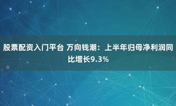 股票配资入门平台 万向钱潮：上半年归母净利润同比增长9.3%