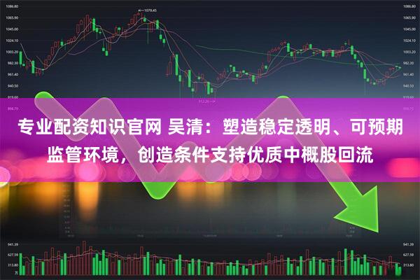 专业配资知识官网 吴清：塑造稳定透明、可预期监管环境，创造条件支持优质中概股回流